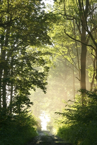 shutterstock_75370051