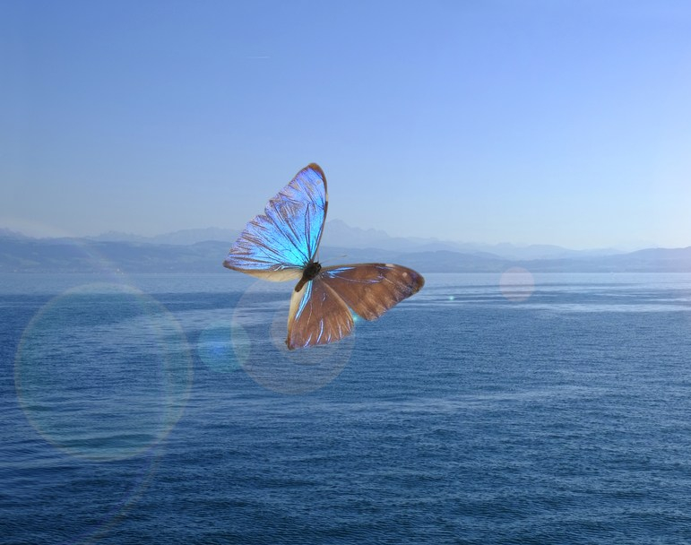 shutterstock_597295049