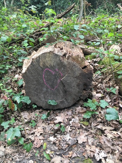 55E76CFB-23D7-4D65-A6F6-5004CF2C1C52